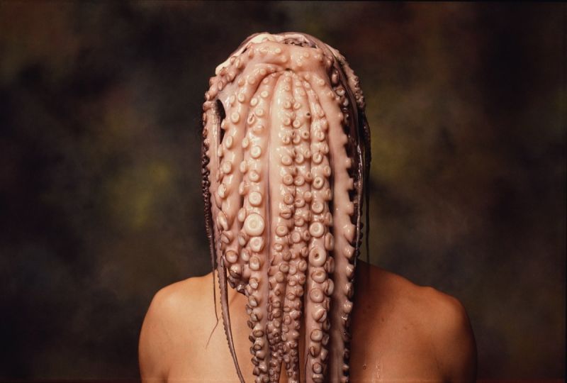 Octopus Head (Early Works), 1985 © Andres Serrano