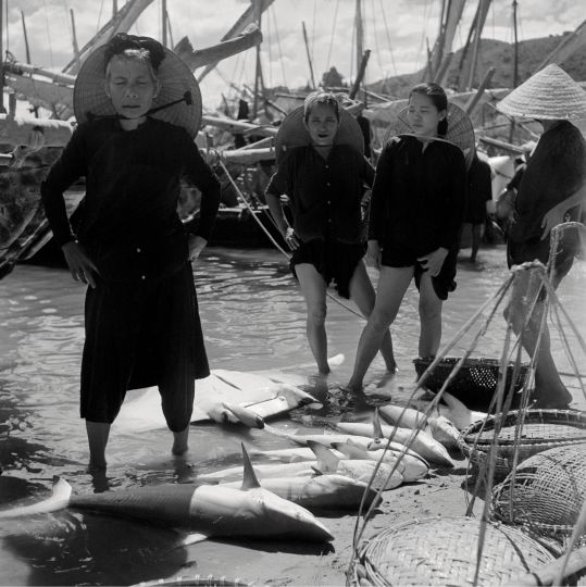 Nha-Trang, Viet-Nam, 1950-1955 by Raoul Coutard, Archives Raoul Coutard