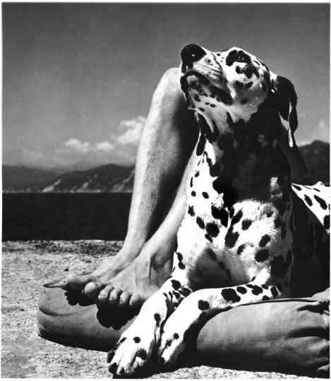 Herbert List, Homme et chien, Portofino, 1936.