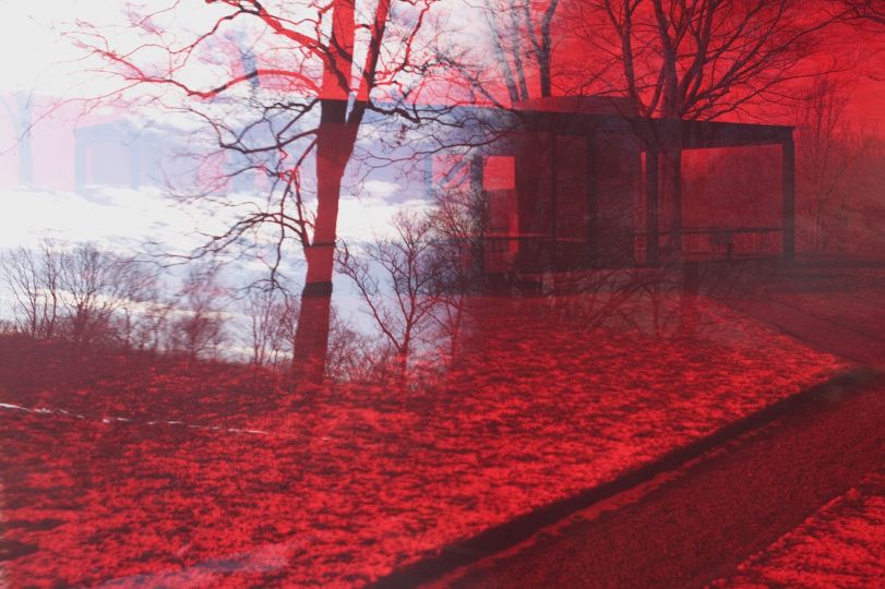 James Welling, 8067, 2008. Inkjet print Edition 2 of 5 WELJA0692Regen Projects loan