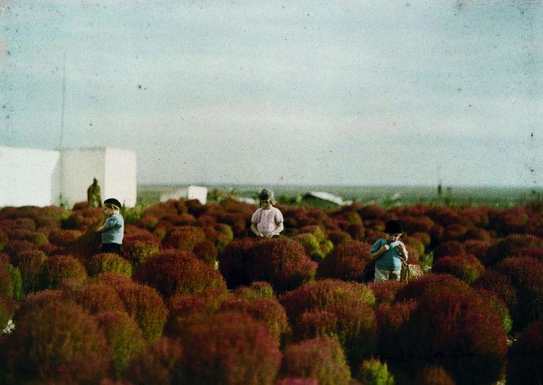 Enfants dans la bruyère à Dar Bou Azza, 1935 © Gabriel Veyre, Lumière des Roses / Coll. Jacquier-Veyre