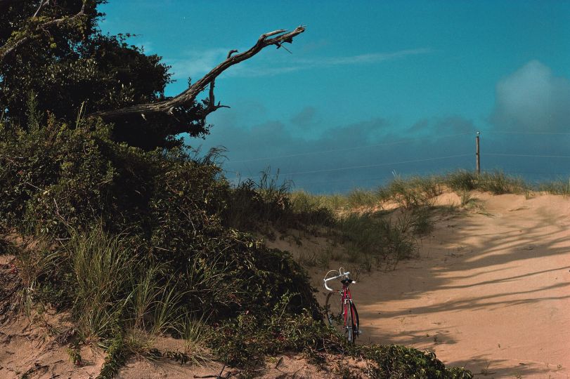 First Pictures © Joel Sternfeld