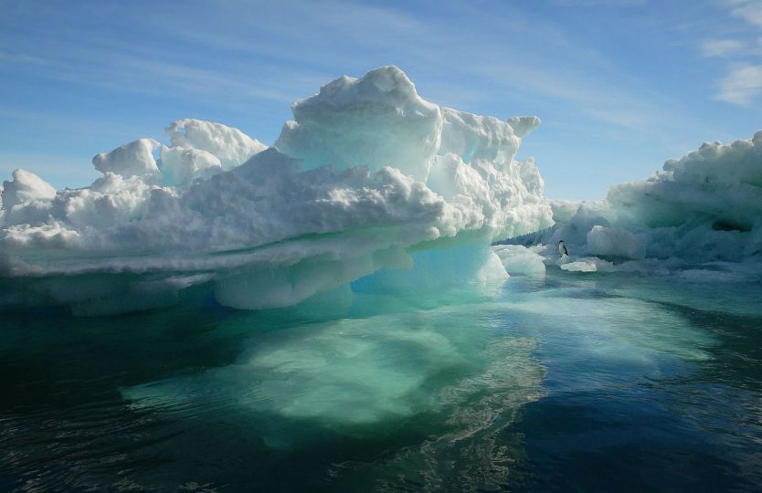 © ANTARCTIC - A Tribute to Life in the Polar Regions by Michael Poliza - 50th Anniversary Edition, published by teNeues, Photo © 2011 Michael Poliza