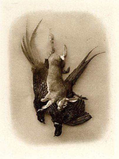 ANONYMErnNature morte, vers 1900rnProcédé pictorialisternImage : 18 x 13 cm