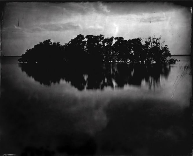 Lisa Elmaleh -Everglades - The Eye of Photography Magazine