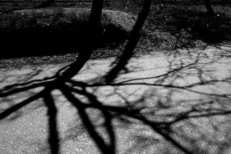 Priaranza del Bierzo (León), 2011.
The placement of the mass grave from which a group of archeologists and forensic scientists exhumed, in October 2000, the remains of thirteen Republicans assassinated by a group of Falangists on October 16, 1936. As a result of the exhumation, Emilio Silva – grandson of one of the victims – and Santiago Macías founded the Association for the Recovery of Historical Memor © A