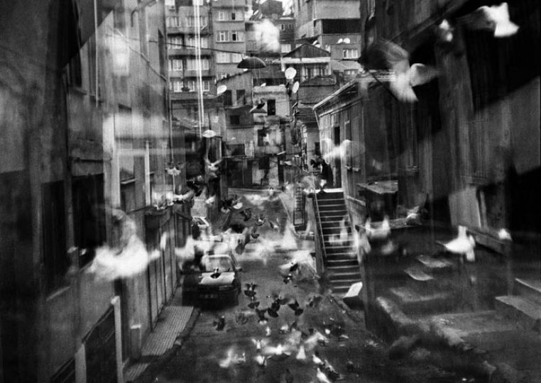 Seu0301rie Good dog, 2008 © Yusuf Sevincli - Courtesy Galerie Les filles du Calvaire, Paris