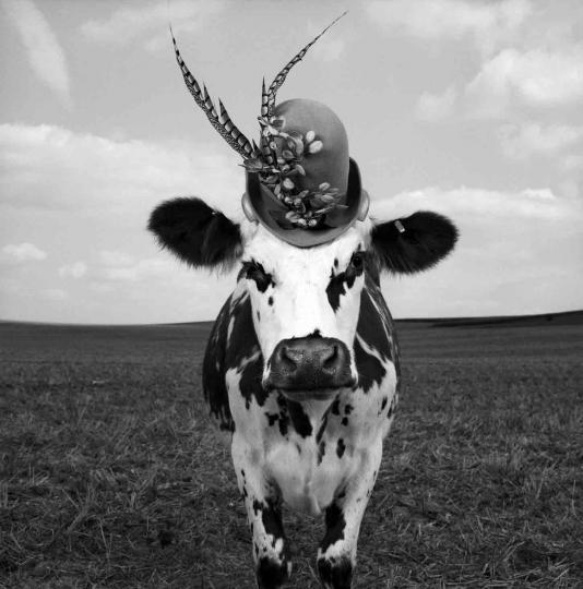 Jean Baptiste Mondino Holy Cow The Eye Of Photography Magazine