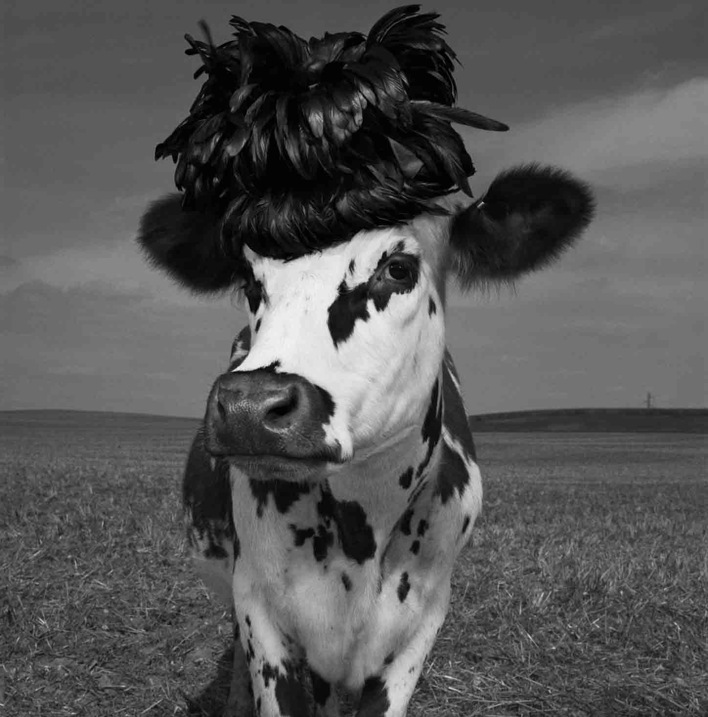 Jean-Baptiste Mondino -Holy Cow ! - The Eye of Photography Magazine