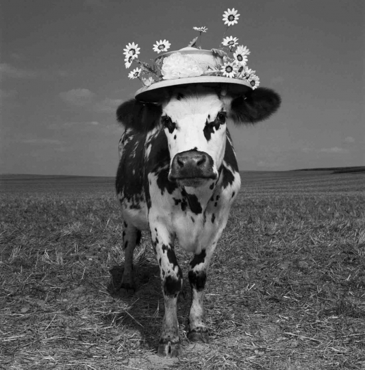 Jean Baptiste Mondino Holy Cow The Eye Of Photography Magazine