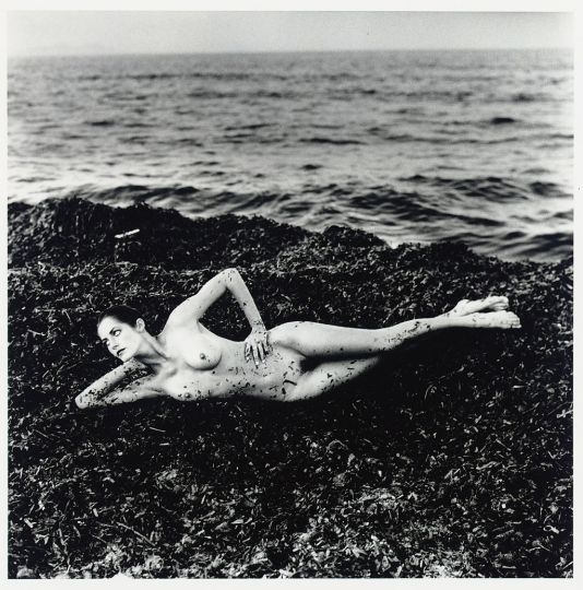 Private Property, Suite I - Nude in Seaweed, Saint Tropez aka Henrietta © Helmut Newton Estate