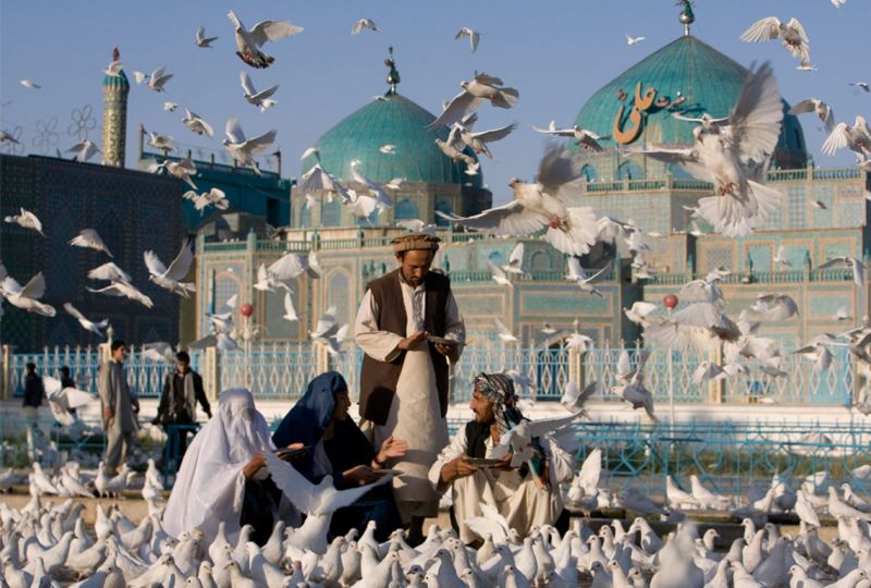 Afghans feed pigeons at the Shrine of Hazrat Ali in Mazar-i-Sharif, northern Afghanistan, Thursday, Sept. 3, 2009 © AP Photo/Farzana Wahidy