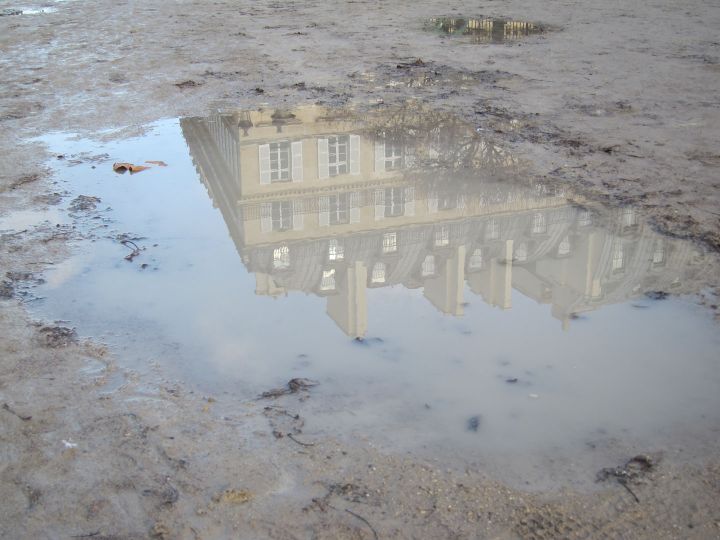 Après la pluie © Julien Baer