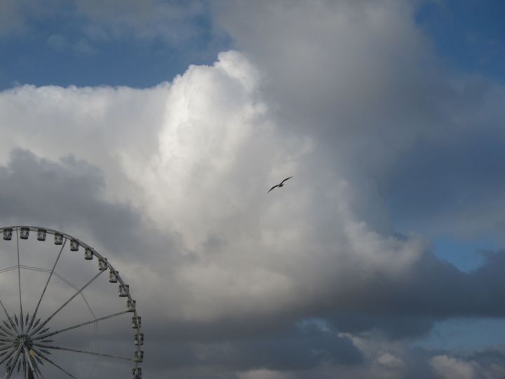 Aux Tuileries © Julien Baer
