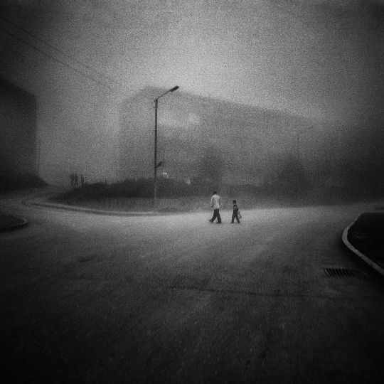 Shoushi dans le brouillard © Salah Benacer
