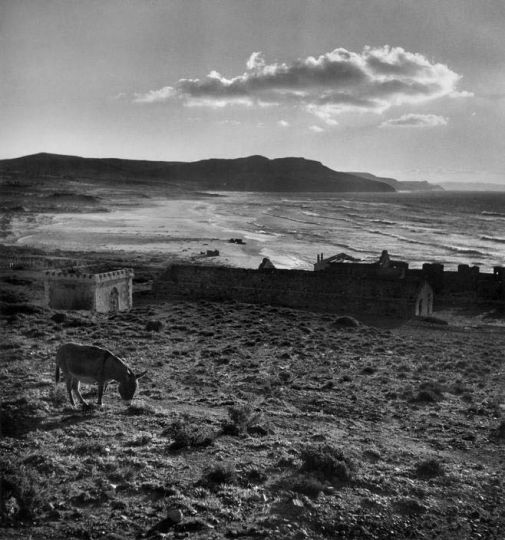 © Werner Bischof / Magnum photos