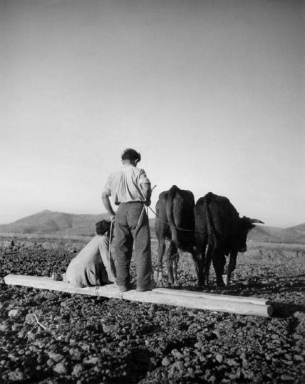 © Werner Bischof / Magnum photos