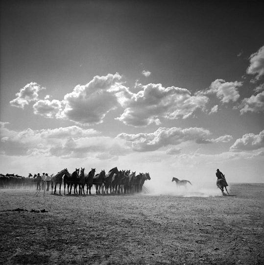 Adam Jahiel - In Search Of The Last Cowboy - The Eye Of Photography 