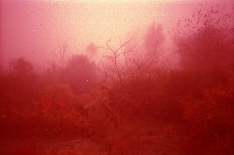 © Lara Gasparotto