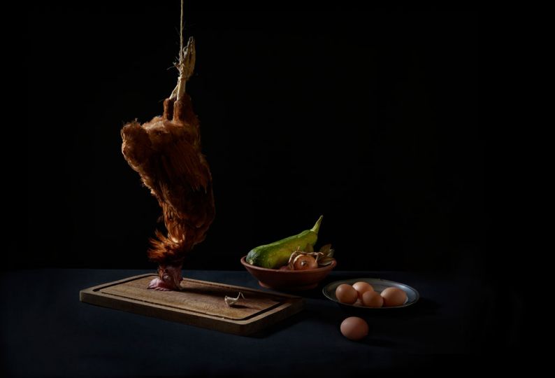 La poule d'Hondeghem 2012. Série Natures vives © FIPC 2012 – Francesca Mantovani. 34 x 50 cm Tirage fine art, caisse américaine