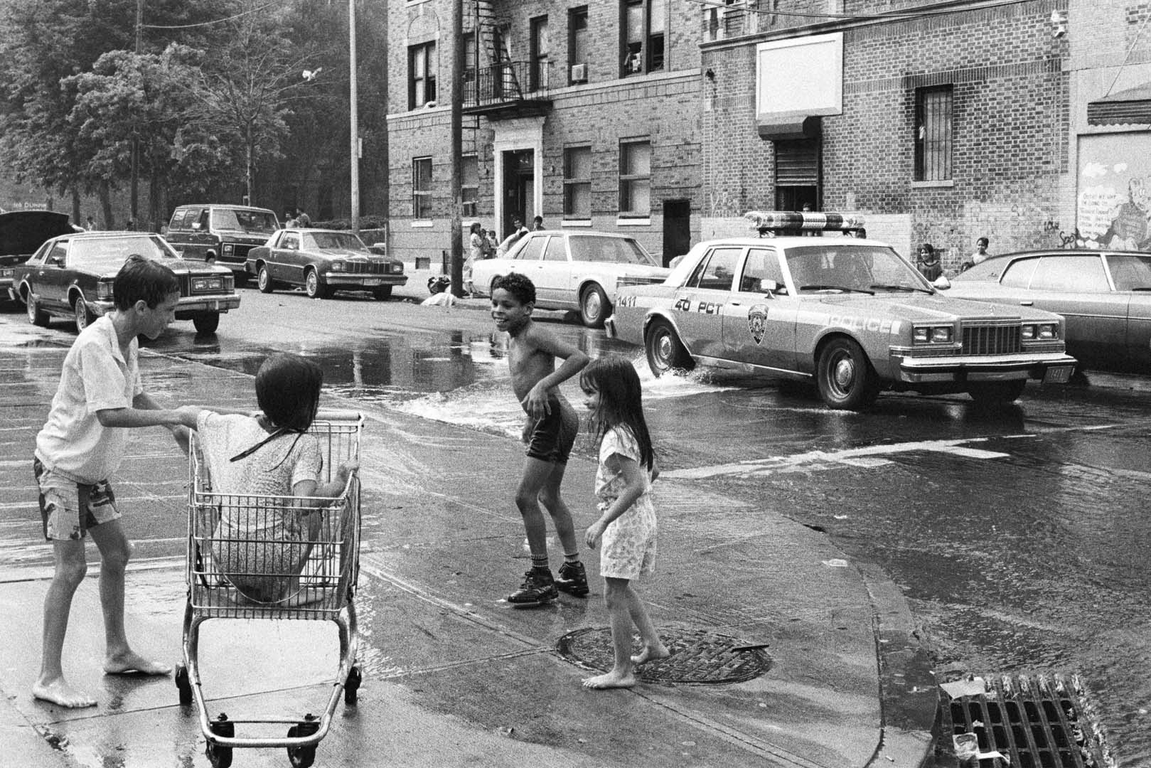 Bronx Documentary Center