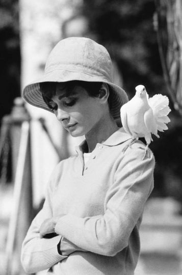 Audrey Hepburn, St-Tropez, 1967 © Terry O’Neill, courtesy Galerie de l’Instant, Paris