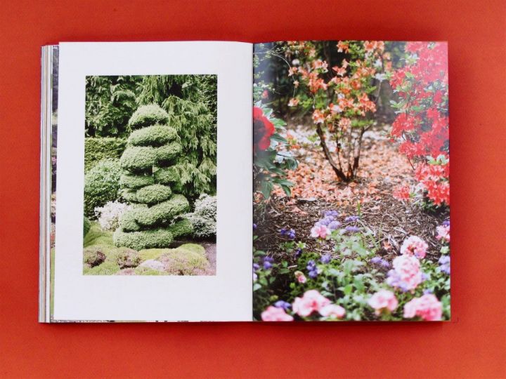 © The Plant