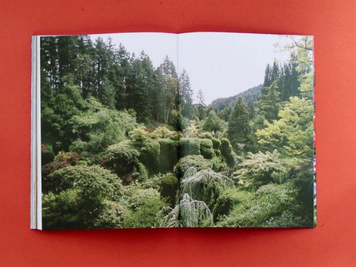 © The Plant