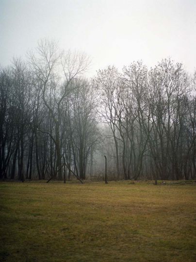 © Johanna Ulmschneider
