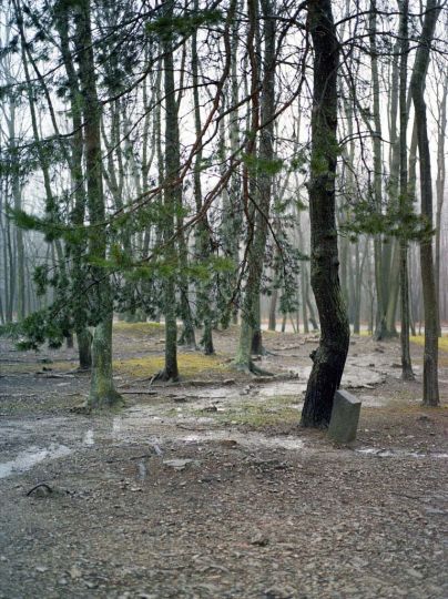 © Johanna Ulmschneider