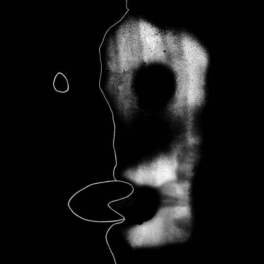Divided Self 2007, from Lines, Marks, and Drawings: Through the Lens of Roger Ballen