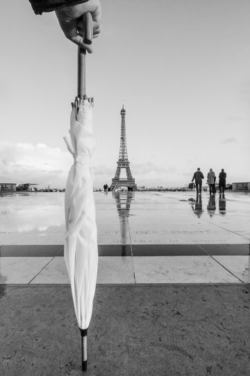 © Francesca Torracchi