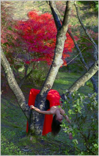 Izima Kaoru, #512, --Angela Reynolds wears Valentino--, 2011, Photograph under Diasec, framed, 197 x 125 cm, Ed.3