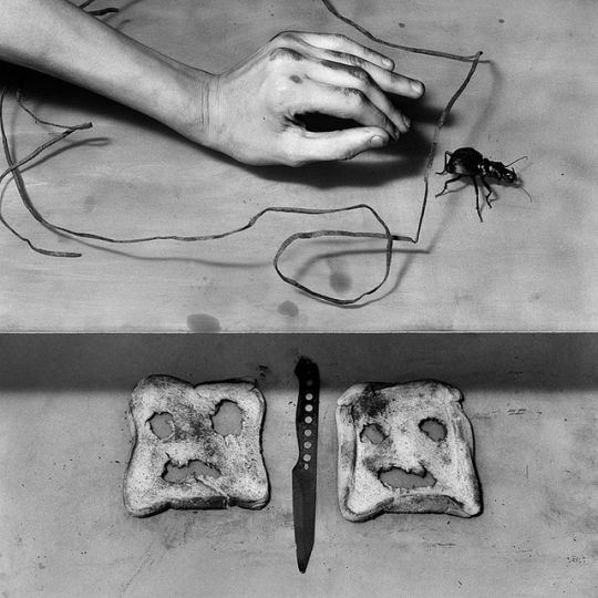 Culprit, 2007 from Lines, Marks, and Drawings: Through the Lens of Roger Ballen