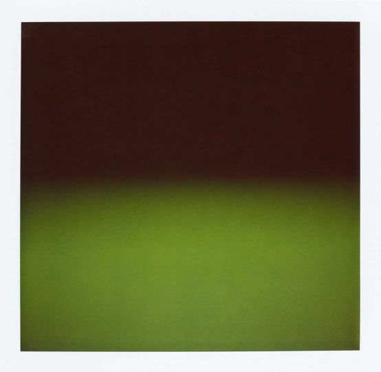 Hiroshi Sugimoto.rnPolarized Color 032, 2010.