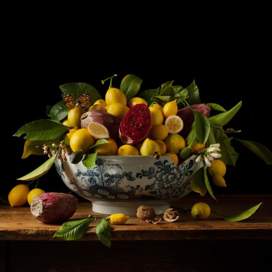 PAULETTE TAVORMINA (American, b. 1949), Lemons and Prickly Pears, 2013. 36 x 36 inch (91 x 91 cm) archival digital pigment print. Signed, titled, dated, and numbered on label mount verso. Printed under the direct supervision of the artist. Edition 3 of 5. RKG20444  $6600 (approx. €4752) / Price includes VAT & frame
