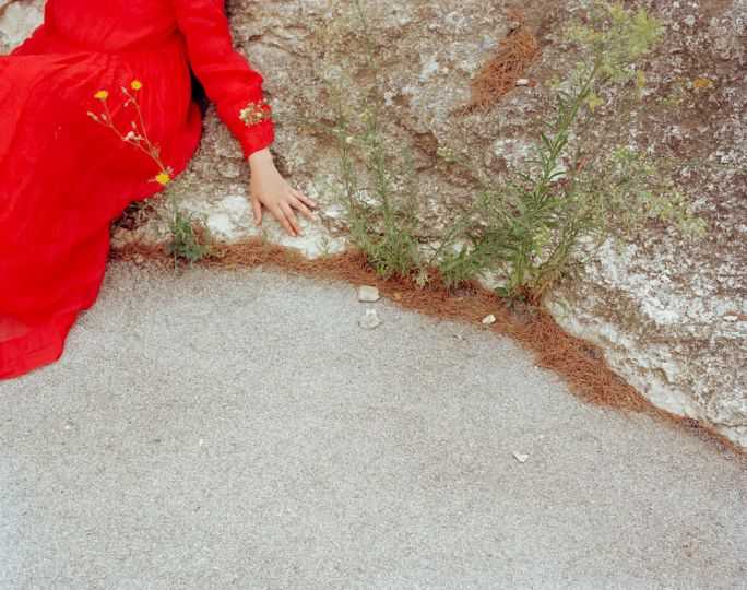 Mauvaises Herbes © Kate Barry