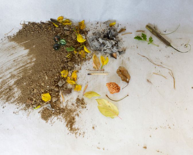 Nature Morte © Kate Barry