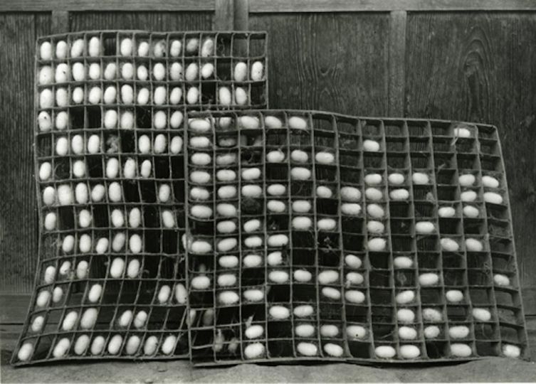 KIYOSHI NIIYAMA. Cocoons, 1937-1945, gelatin silver print, printed ca. 1937-1945. signed by the son Youichi Niiyama. 17,8 x 25 cm © Estate of the Artistrn