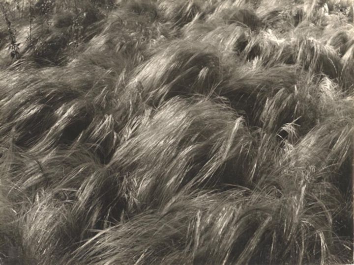 PAULO PIRES. Sinantereas, 1964. gelatin silver print, printed ca. 1964, 29 x 39 cm © Estate of the Artist