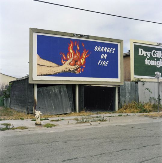 Oranges ©u00a0Larry Sultan