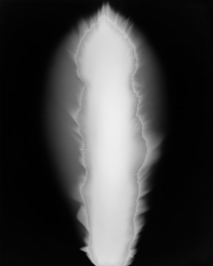 Hiroshi Sugimoto, In Praise of Shadows 980817, 1998. © Hiroshi Sugimoto, courtesy Fraenkel Gallery, San Francisco