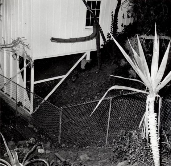 Larry Sultan & Mike Mandel, 1977