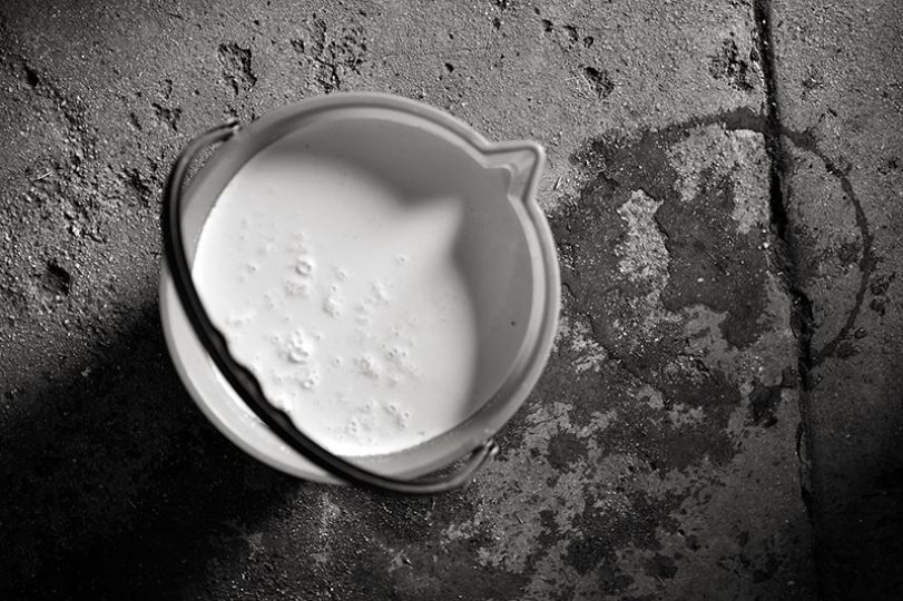 Bucket of Milk - In the Folds of Hills © Kristian Laemmle-Ruff