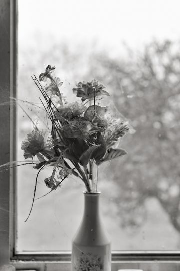 Old Flowers - In the Folds of Hills © Kristian Laemmle-Ruff