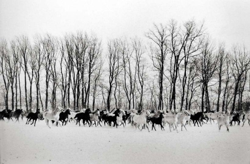 Gyu00f6r, Hungary. 1964. Gelatin Silver print © Henri Cartier-Bresson / Magnum Photos