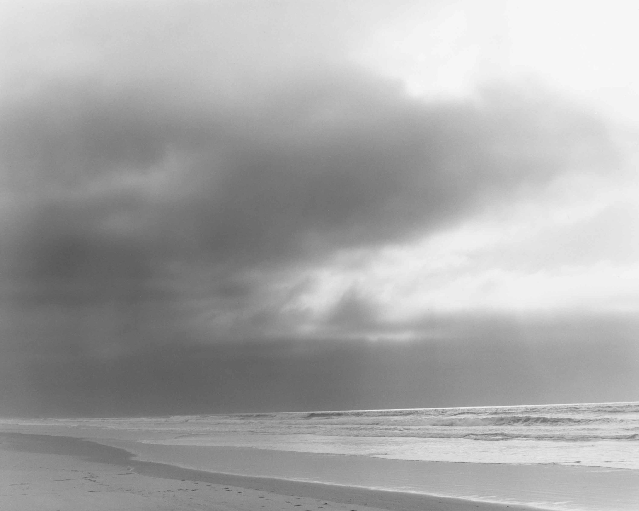 San Francisco: Robert Adams, A road through shore pine & The complete ...