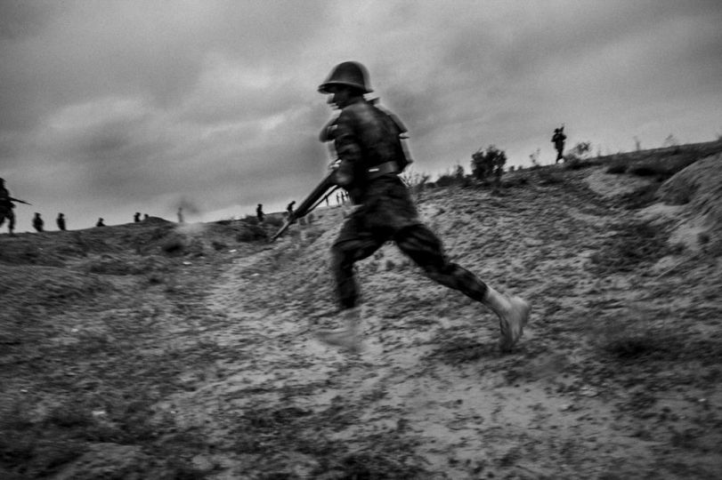 © Majid Saeedi