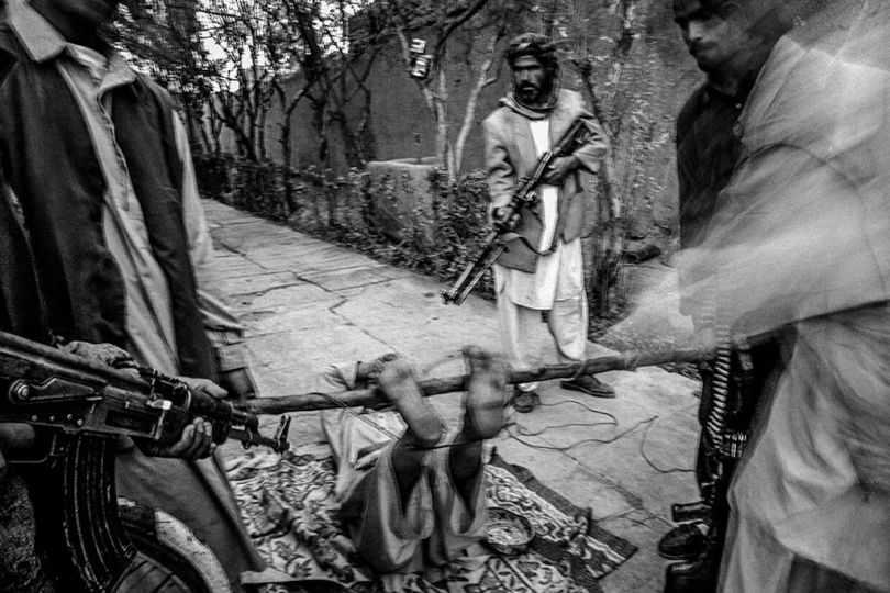 © Majid Saeedi
