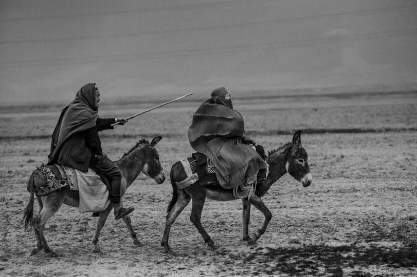 © Majid Saeedi